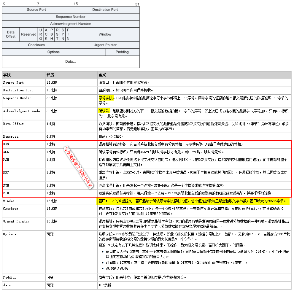 TCP报文格式