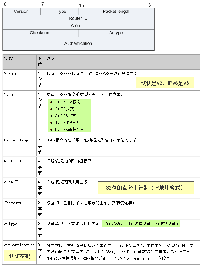 OSPF报文头部