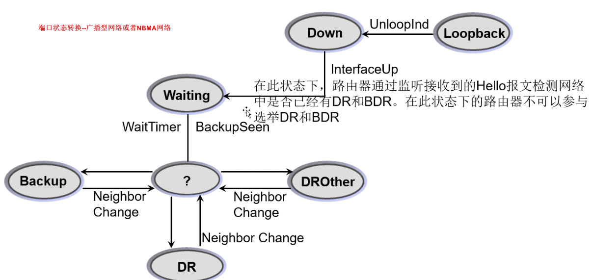 端口状态转换-广播或NBMA网络