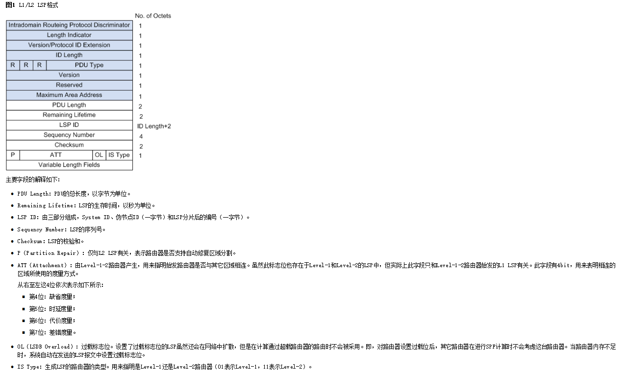 LSP报文