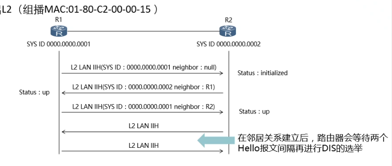 广播邻接关系建立