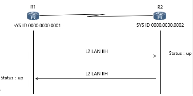 P2P邻接关系建立