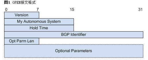 OPEN报文格式
