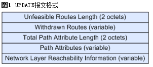 UPDATE报文格式