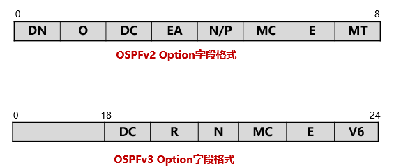 OSPFv3选项Options