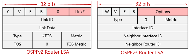 Router LSA