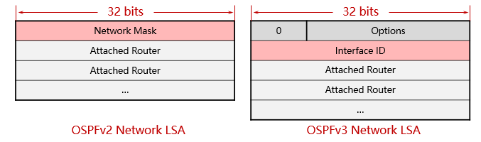 Network LSA