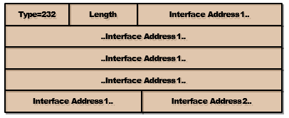 IPv6 Interface Address