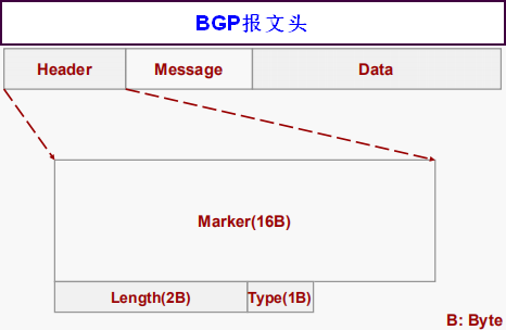 BGP报文头