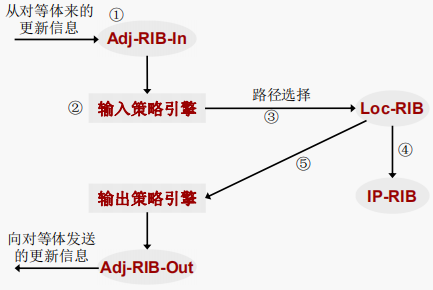 BGP路由信息处理