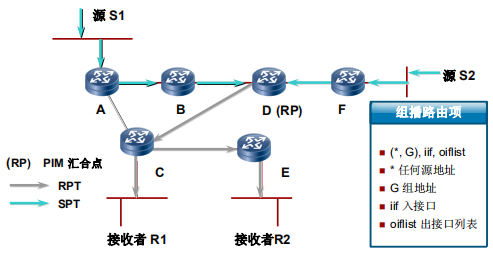 共享树