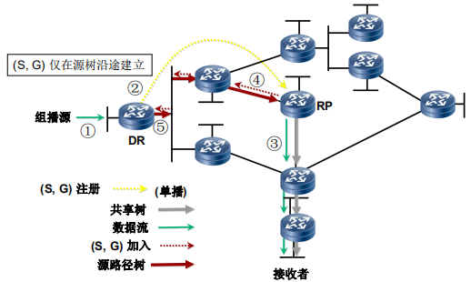 组播源注册过程