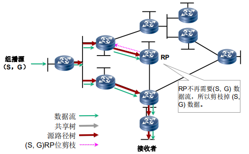 切换后的剪枝1