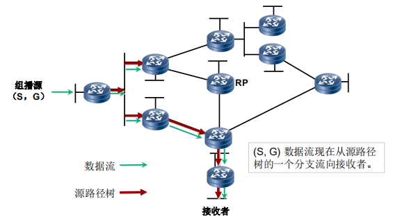 切换后的剪枝2