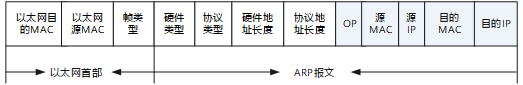 ARP报文格式