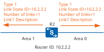 Router-LSA