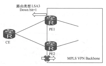 通过DN比特位防环