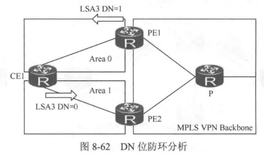 CE双归属