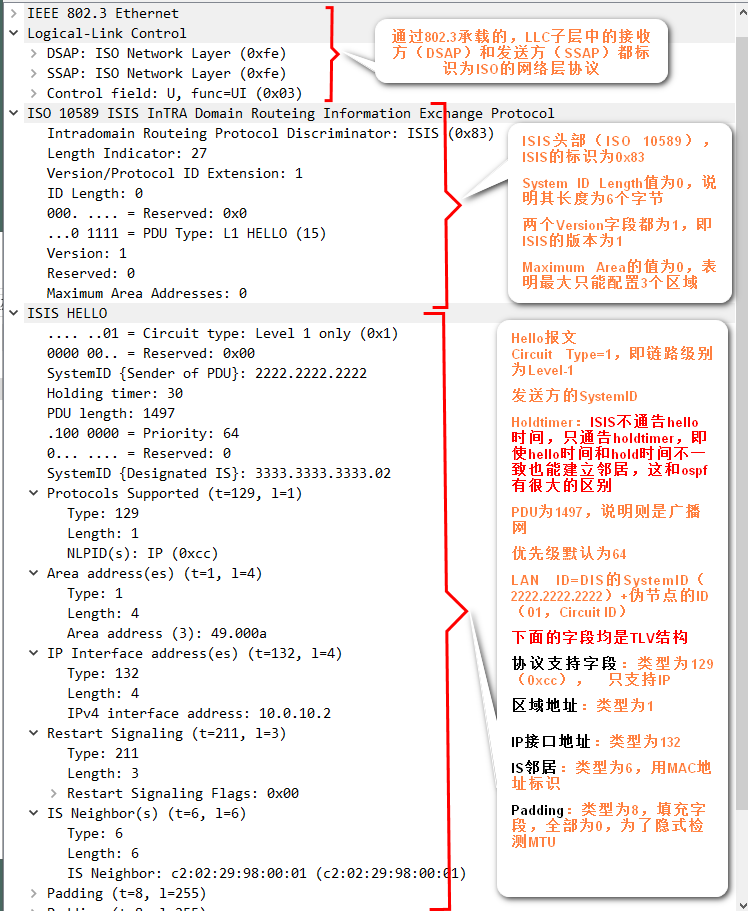 报文细节