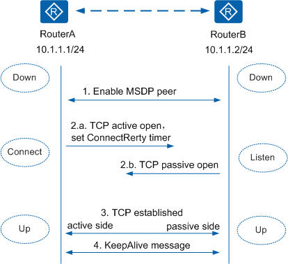 MSDP对等体建立